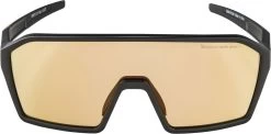 Alpina Ram Q-Lite V - Lunettes De Sport -Cube Boutique Alpina Alpina Ram HVLM Sportbrille A8672031 3